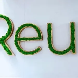 Oak Letter Logo with Moss - Image 2