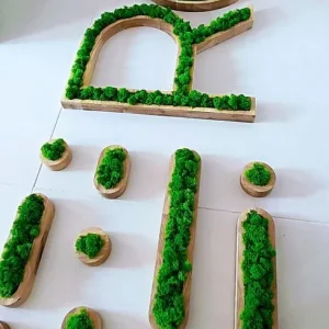 Oak Letter Logo with Moss - Image 3