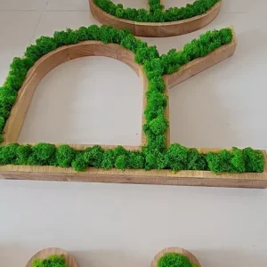 Oak Letter Logo with Moss - Image 6