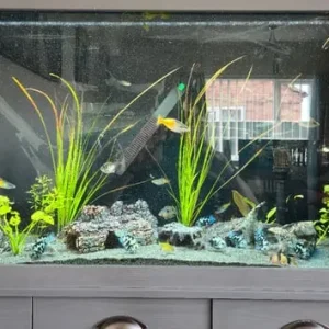 Fluval Shaker 252 L fish tank - Image 3