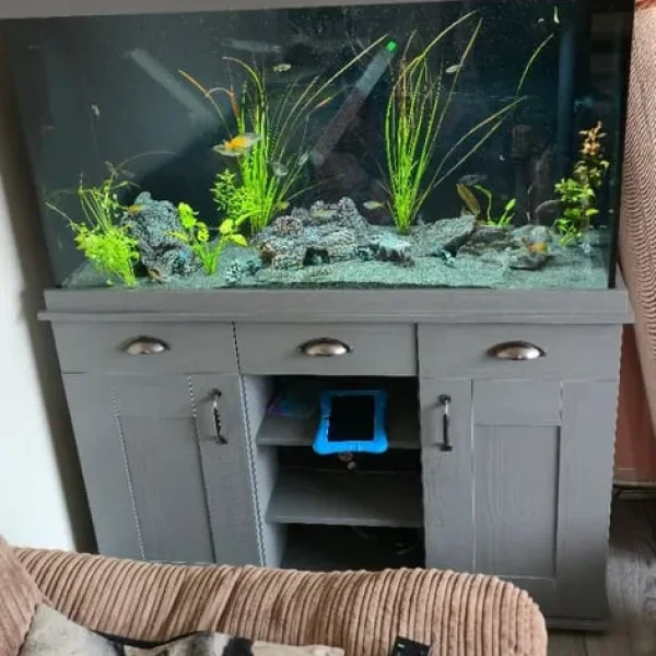 Fluval Shaker 252 L fish tank
