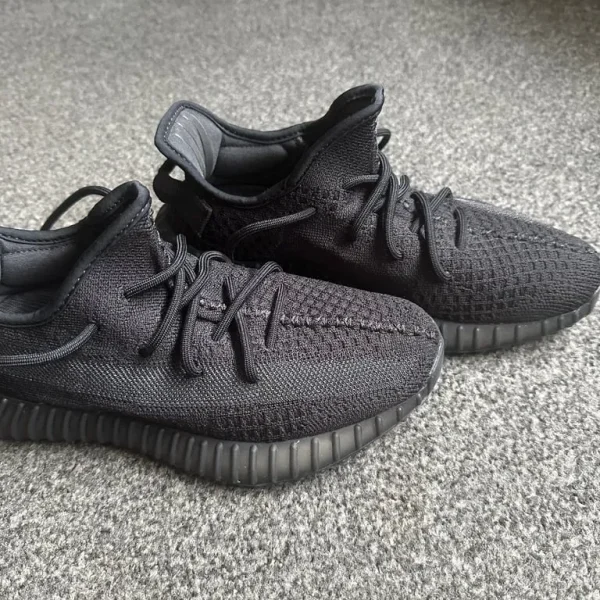 Yeezy Onyx size 6