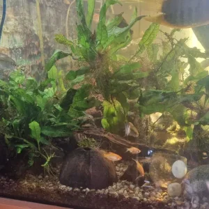 450L tank - Image 2