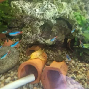 450L tank - Image 7