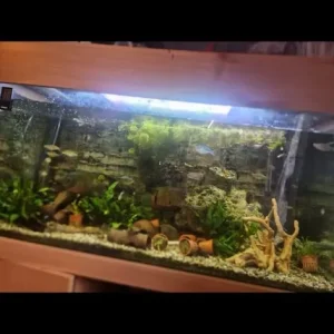 450L tank - Image 8