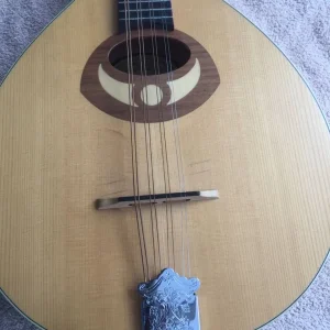 Ozark Romania For Stentor Music Mandolin - with carry case - see pictures - Image 4
