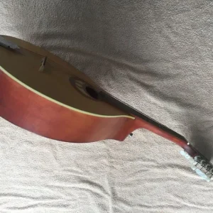 Ozark Romania For Stentor Music Mandolin - with carry case - see pictures - Image 8