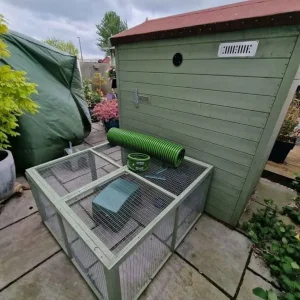 Rabbit or guinea pig shed - Image 4
