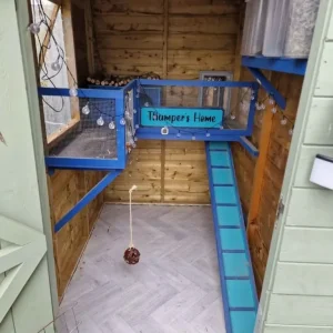 Rabbit or guinea pig shed - Image 5