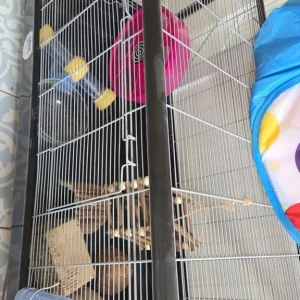 Hamster cage - Image 3