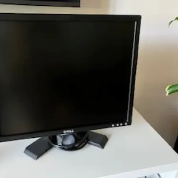 Dell 19 Inch Flat Screen Monitor