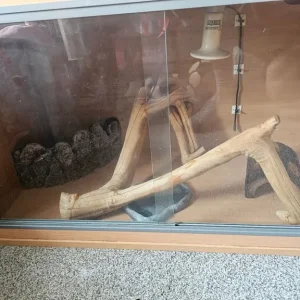 Lizard tank with accessories