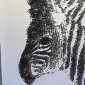 Zebra Portrait Made from 10,000 Nails - Image 6