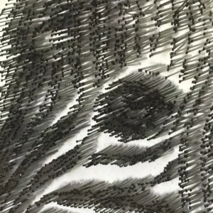 Zebra Portrait Made from 10,000 Nails - Image 7