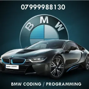 BMW DIAGNOSTIC & CODING TOOL