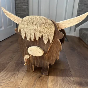 Home made Highland Cow Planter - Image 2