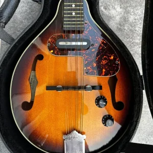 Aria Electro Mandolin - Image 3
