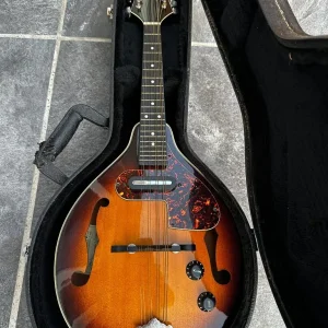 Aria Electro Mandolin - Image 4