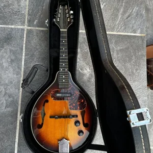 Aria Electro Mandolin - Image 5