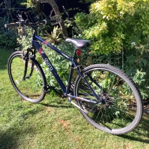 Bike Apollo Guru