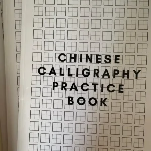 Chinese Mandarin language course - Image 3