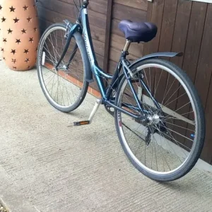 Raleigh Pioneer Metro Step Through Ladies Bike - Image 2