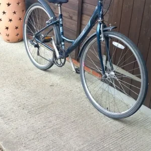 Raleigh Pioneer Metro Step Through Ladies Bike - Image 7