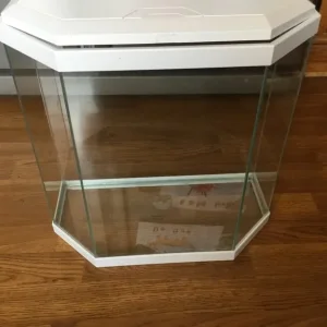 Small aquarium - Image 5