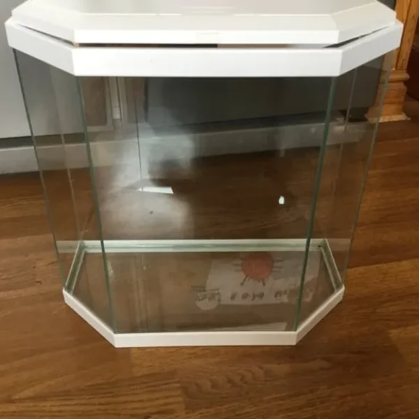 Small aquarium