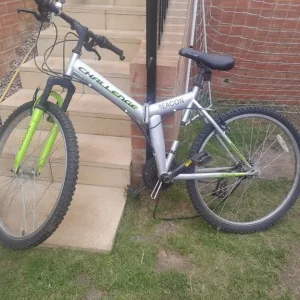 Raleigh Twenty shopper bike