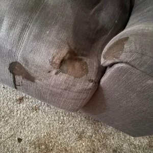 Carpet cleaner - Image 4