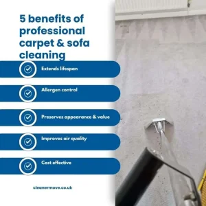 Carpet cleaner