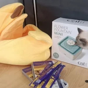 Cat water fountain, banana bed, feliway chicken