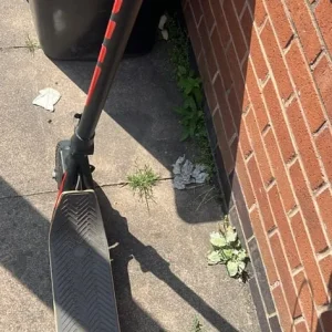 Electric Scooter - Image 6