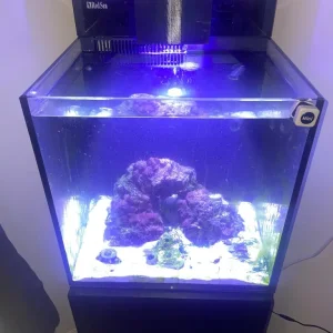 Red Sea Max Nano setup with extras - Image 2