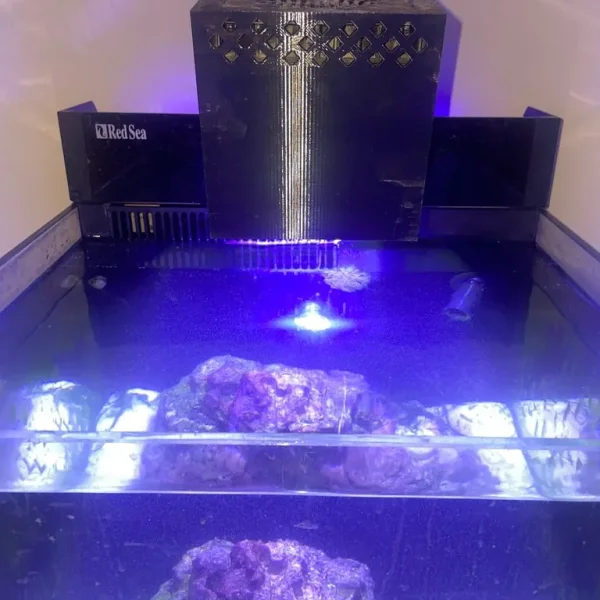 Red Sea Max Nano setup with extras
