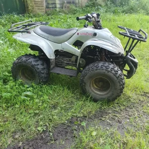 Apache 100cc quad - Image 2