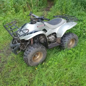 Apache 100cc quad - Image 3