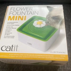 Cat drinking fountain