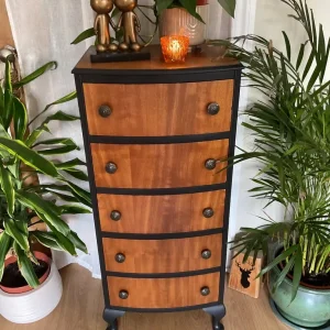 Upcycled Chest of Drawers - Image 2