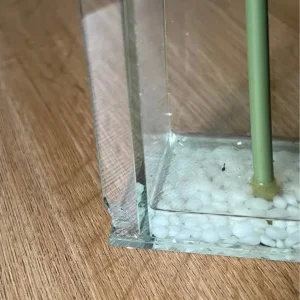 Rose glass decorative piece - Image 2