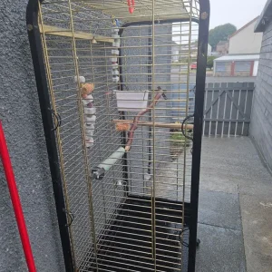 Large parrot cage - Image 2