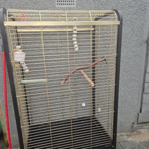 Large parrot cage