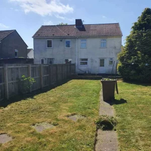 Grass cutting, hedges trimmed, trees cut - Image 2
