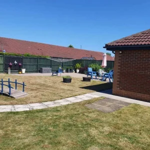 Grass cutting, hedges trimmed, trees cut - Image 3