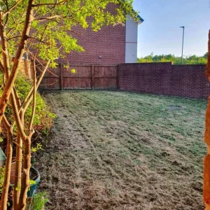 Grass cutting, hedges trimmed, trees cut - Image 4