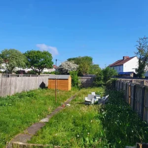 Grass cutting, hedges trimmed, trees cut - Image 5