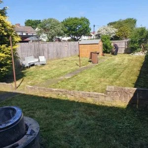 Grass cutting, hedges trimmed, trees cut - Image 6