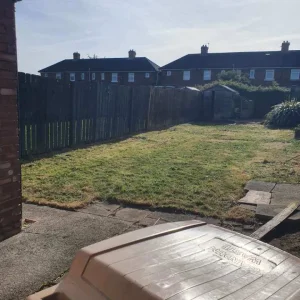 Grass cutting, hedges trimmed, trees cut - Image 7