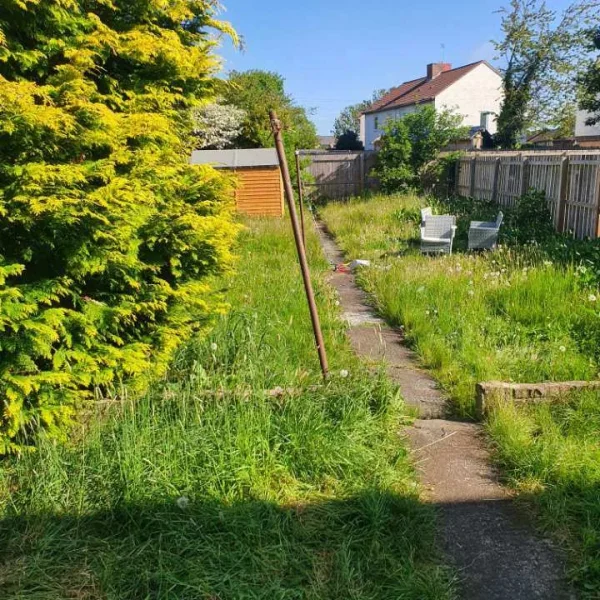 Grass cutting, hedges trimmed, trees cut